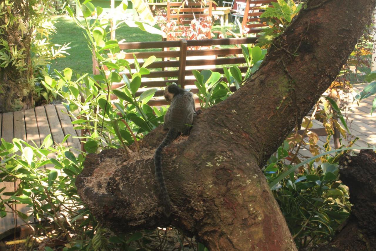 Pousada Aroeira Карайва Экстерьер фото